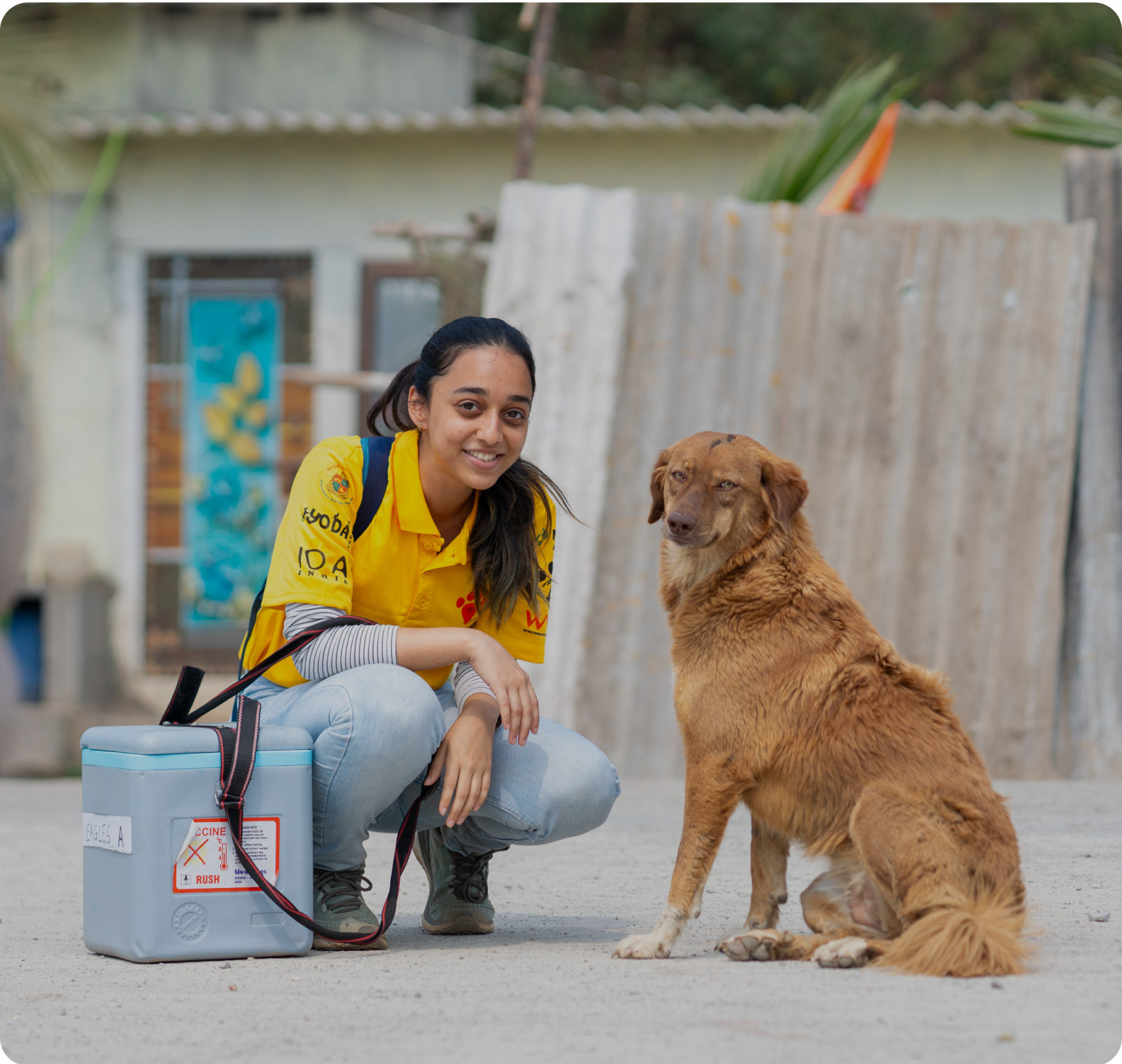 Animal Care
