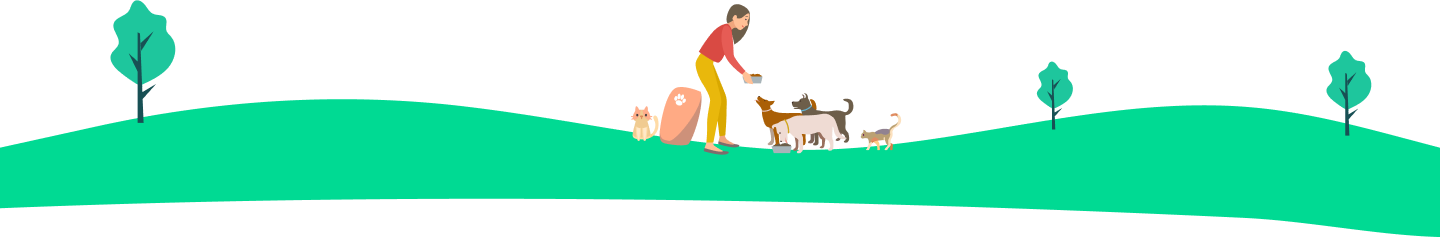 Playing dogs