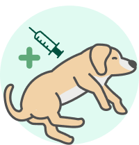 suspected-rebid-dog